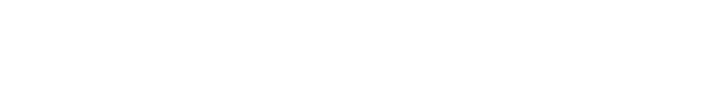 Toyo tires