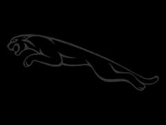 Jaguar logo